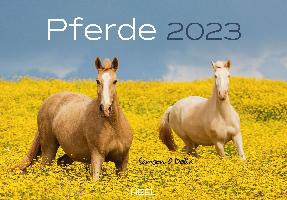 Pferde Paarden Kalender 2023