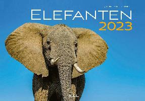 Elefanten Olifanten Kalender 2023