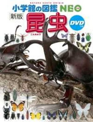 Insects (New Edition) (Shogakukan No Zukan Neo)