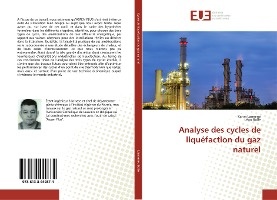 Analyse des cycles de liquéfaction du gaz naturel