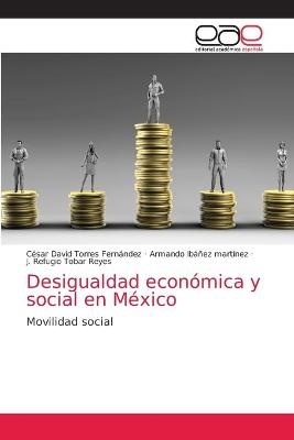 Desigualdad económica y social en México
