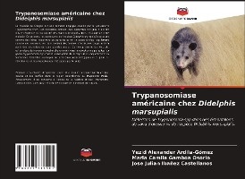 Trypanosomiase américaine chez Didelphis marsupialis
