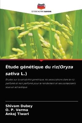 Étude génétique du riz(Oryza sativa L.)
