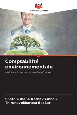 Comptabilit� environnementale