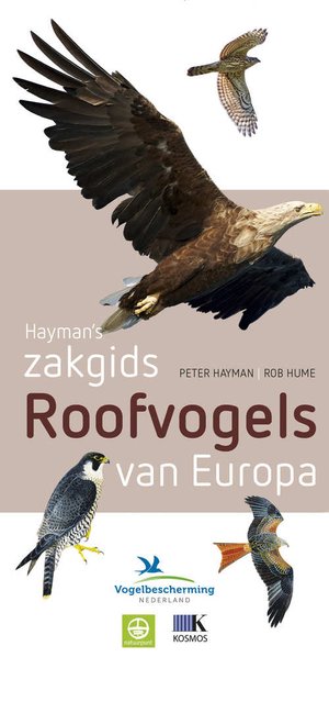 Roofvogels van Europa zakgids