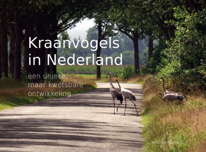 Kraanvogels in Nederland