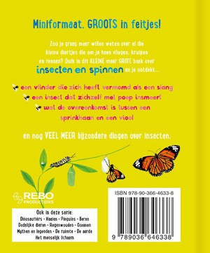 Het kleine maar grote boek over insecten en spinnen