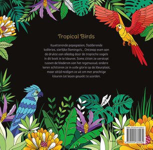 Tropical Birds - Kleuren voor volwassenen