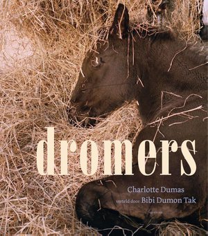 Dromers