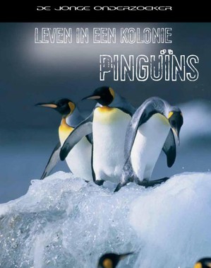 Leven in een kolonie pinguins