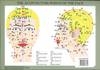Acupuncture Points of the Face -- A4