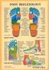 Foot Reflexology -- A4
