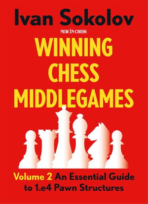 Winning Chess Middlegames Volume 2