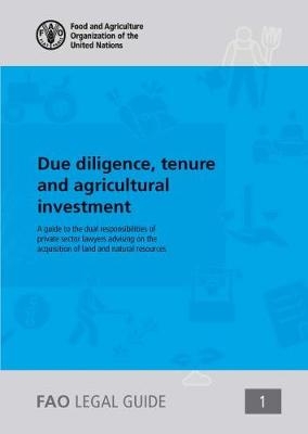 Due diligence, tenure and agricultural investment