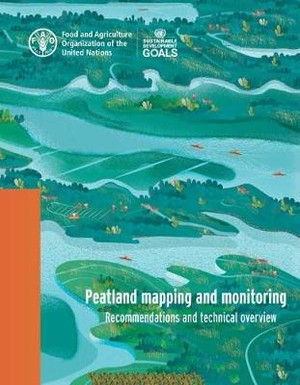 Peatlands mapping and monitoring