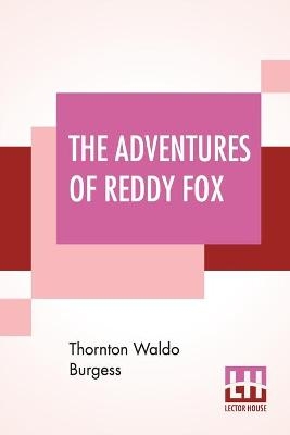 ADV OF REDDY FOX