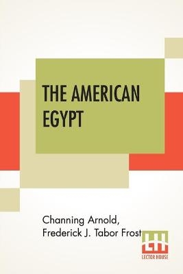 Arnold, C: American Egypt
