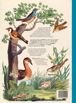Het heel grote vogelboek