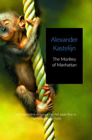 The monkey of Manhattan