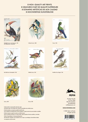 Tropical Bird Prints
