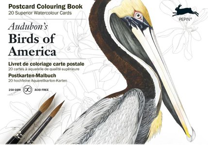 Audubon's birds of America