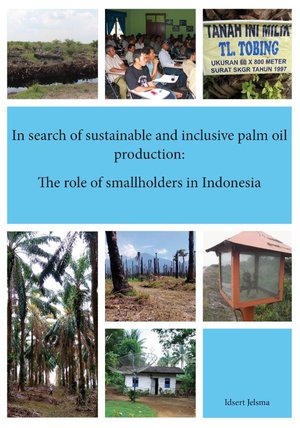 In search of sustainable and inclusive palm oil production