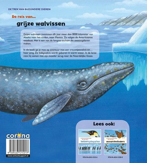 De reis van grijze walvissen