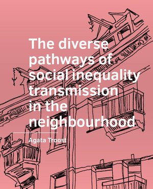 The diverse pathways of social inequality transmission in the neighbourhood