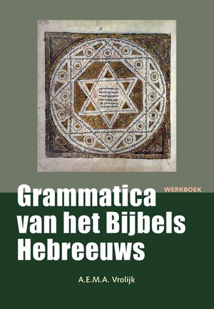 Grammatica van het Bijbels Hebreeuws Werkboek