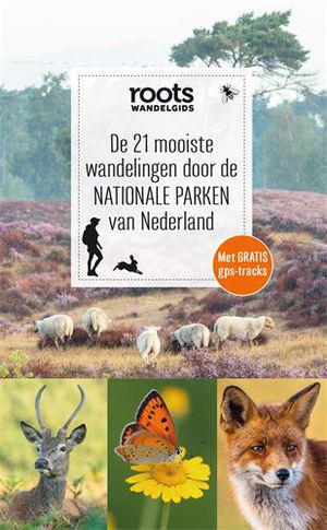 De 21 mooiste wandelingen door de nationale parken van Nederland