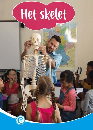 Het skelet