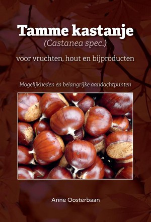 Tamme kastanje (Castanea spec.) voor vruchten, hout en bijproducten