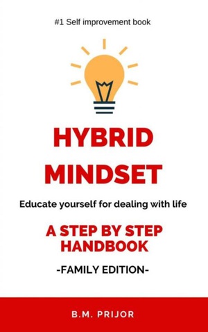 Hybrid mindset
