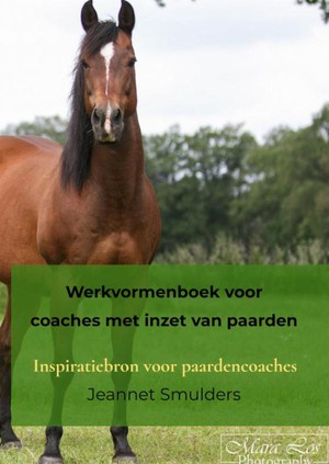 Werkvormenboek voor coaches met inzet van paarden