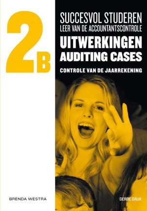 2B uitwerkingen auditing cases