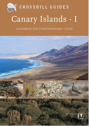 Canary Islands I Lanzarote and Fuerteventura Spain