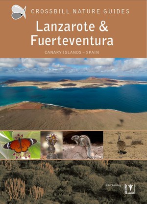 Crossbill Guide Lanzarote and Fuerteventura