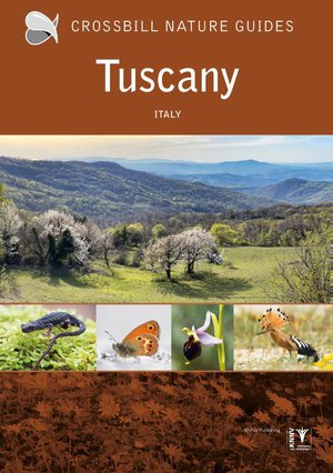 Crossbill Guide Tuscany