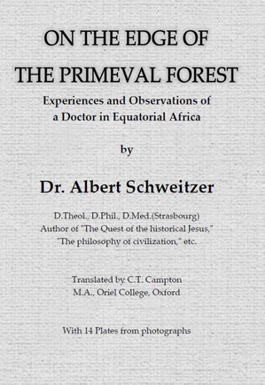 On the edge of the primeval forest