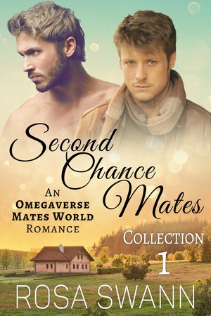 Second Chance Mates Collection 1