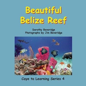 Beautiful Belize Reef