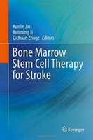 Bone marrow stem cell therapy for stroke