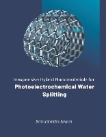 Inexpensive Hybrid Nanomaterials for Photoelectrochemical Water Splitting