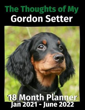 The Thoughts of My Gordon Setter