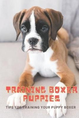 Training Boxer Puppies