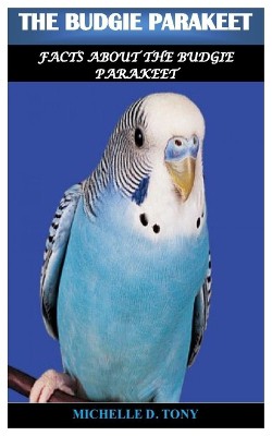 The Budgie Parakeet