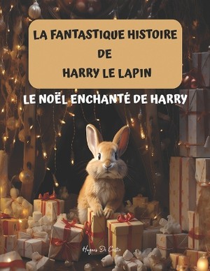 Le Noël enchanté de Harry