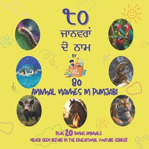 80 Animal Names in Punjabi