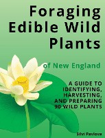 Foraging Edible Wild Plants of New England
