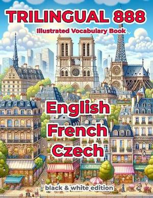 Trilingual 888 English French Czech Illustrated Vocabulary Book